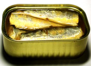 Canned Sardine in Oil buy at saleit.eu